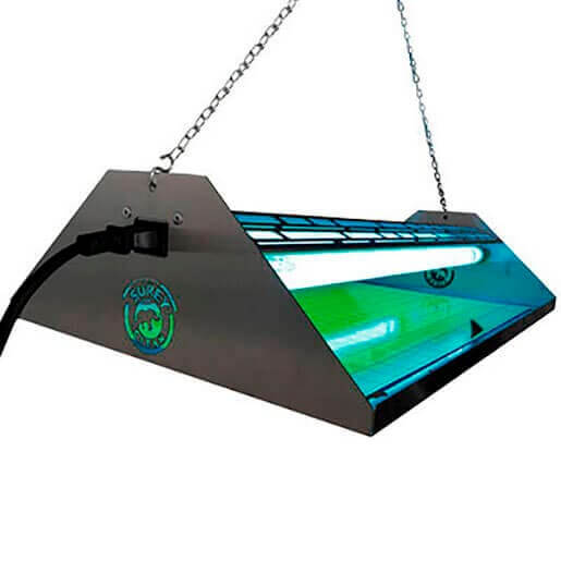 Insects exterminators