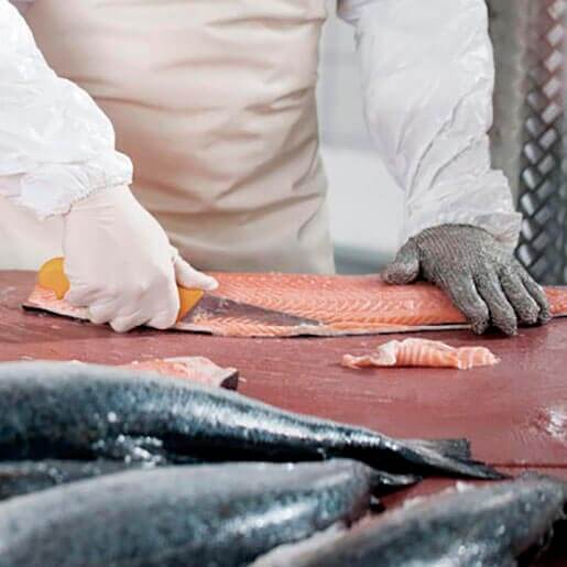 Fish processing  