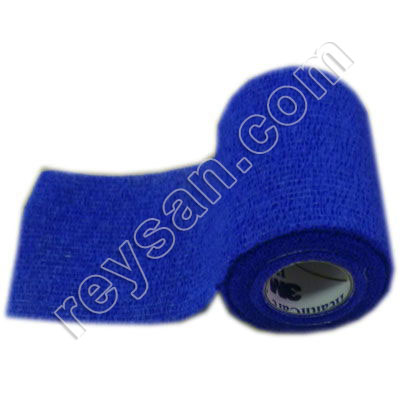 Asparagus & Dressings | Reysan