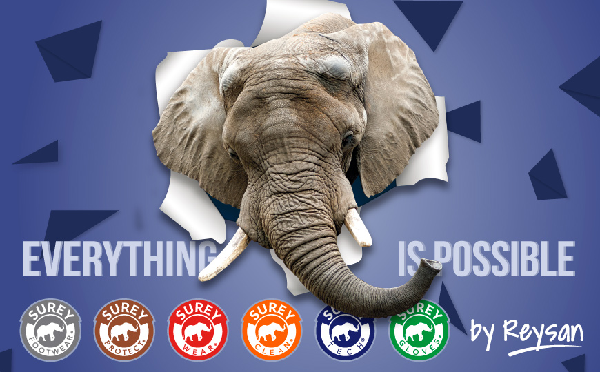 Surey Pacific, <span class=