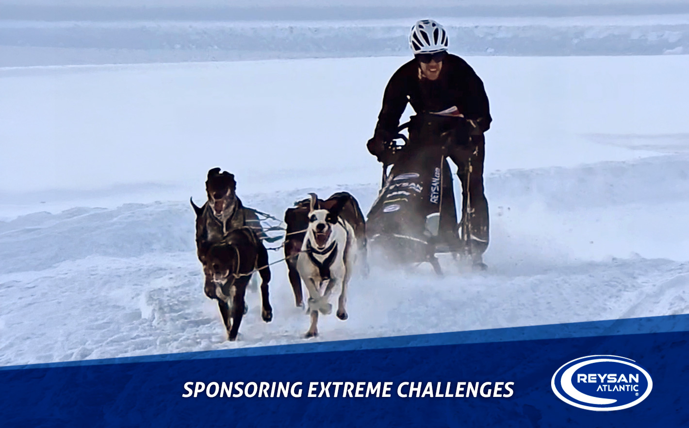 Jorge García Sanz is crowned Spanish champion in snow sprint mushing