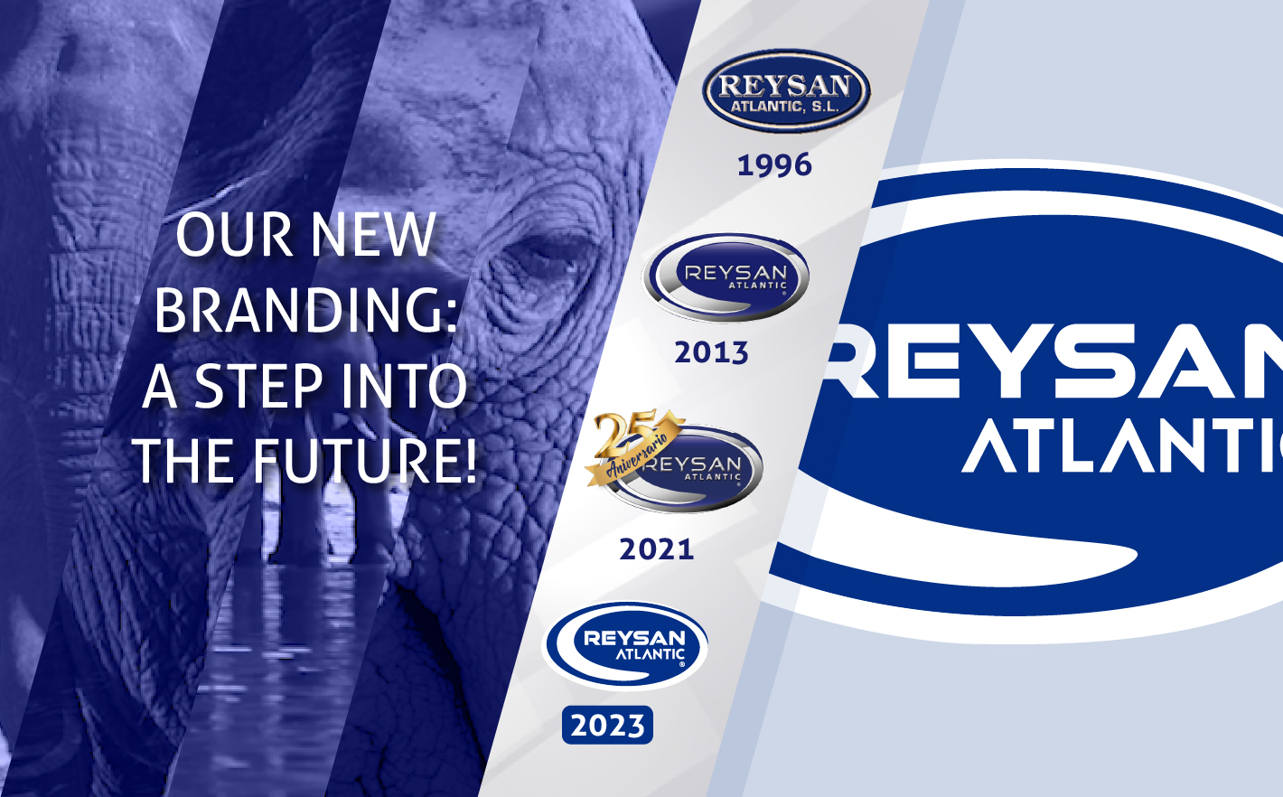 Our New Corporate Image: A Step Towards the Future!