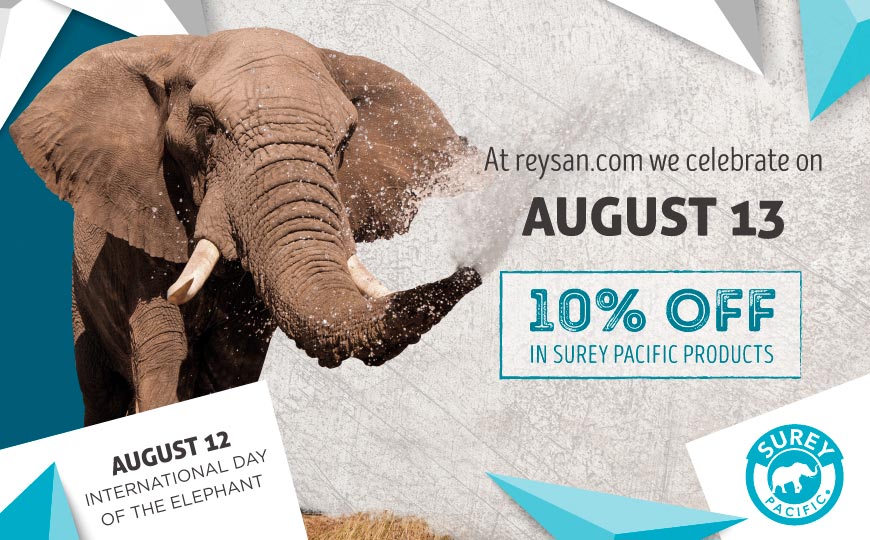 Promotion for International Elephant Day