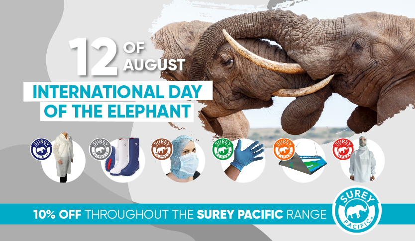 World Elephant Day 2022. Celebrate it with Reysan