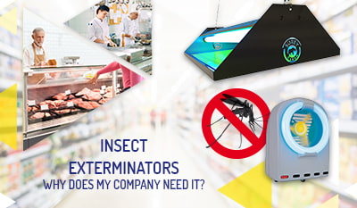 Insect exterminators - Why does my business need them?