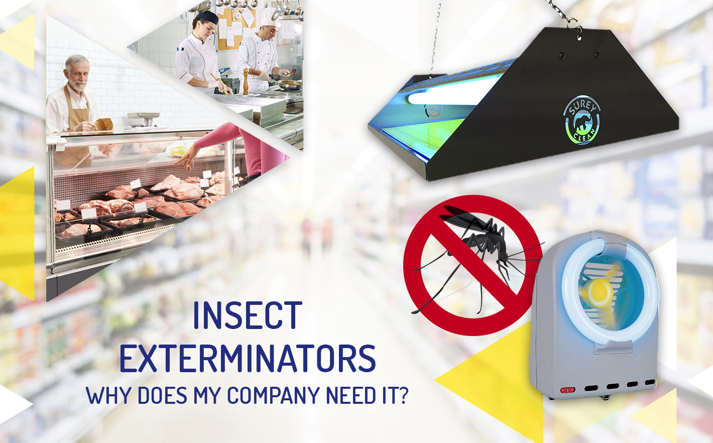 Insect Exterminators