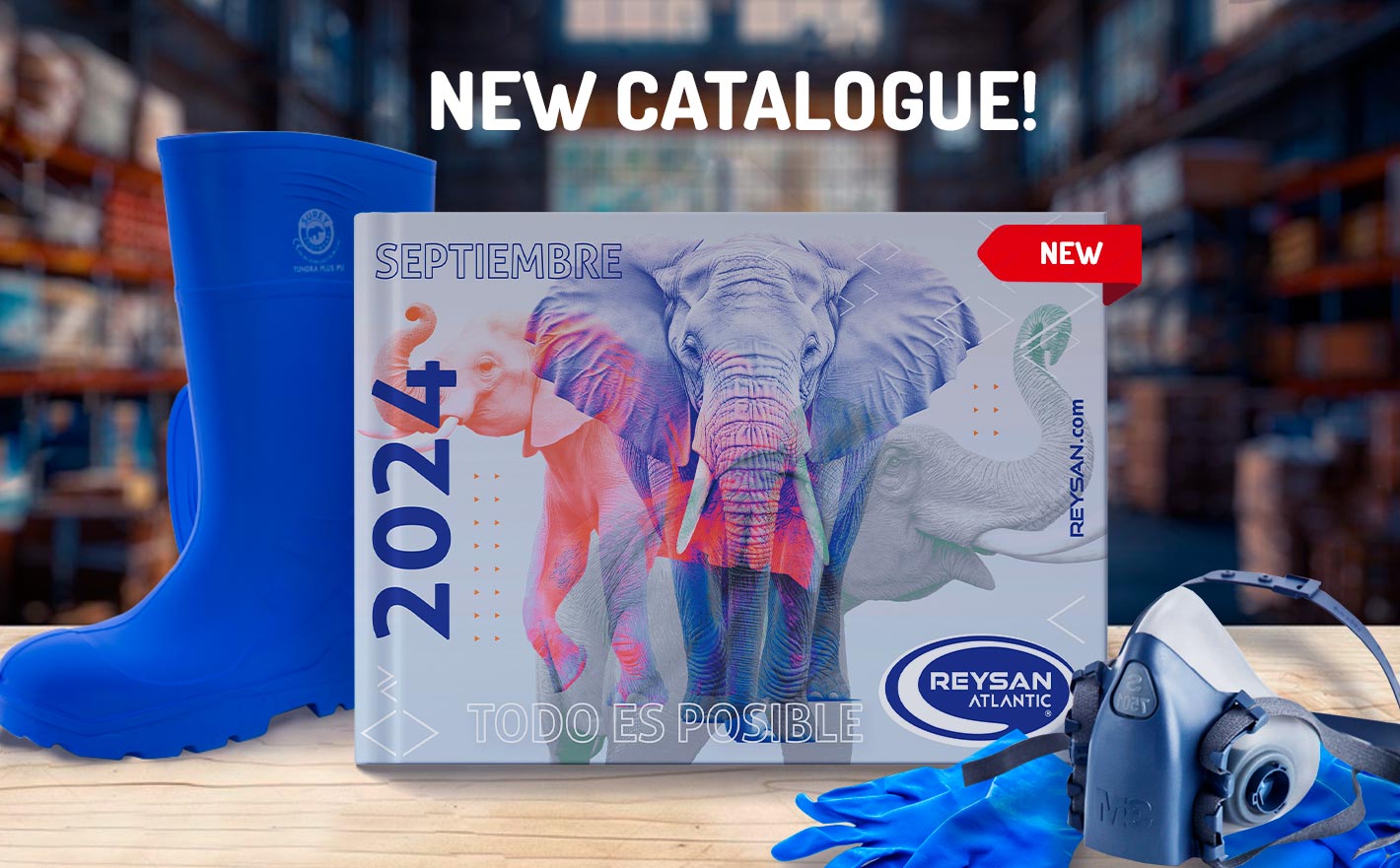Introducing our new catalog!