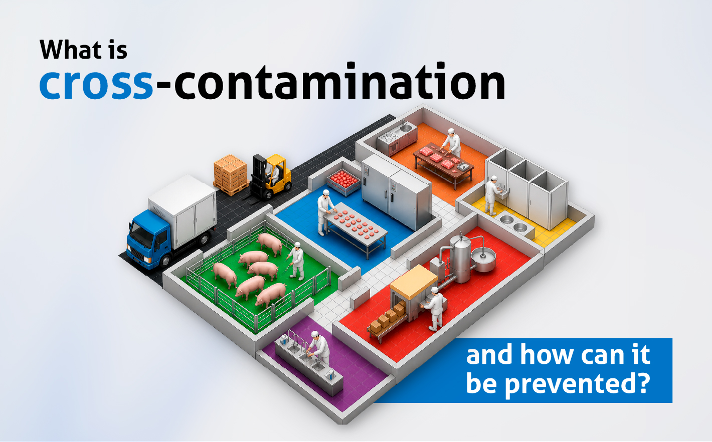 What Is Cross-Contamination and How Can It Be Prevented?