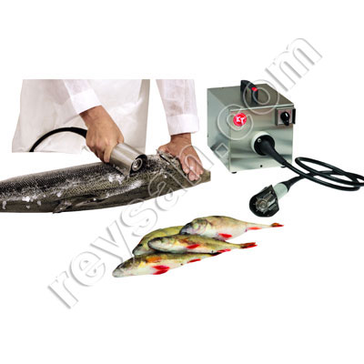 FISH DESCALER