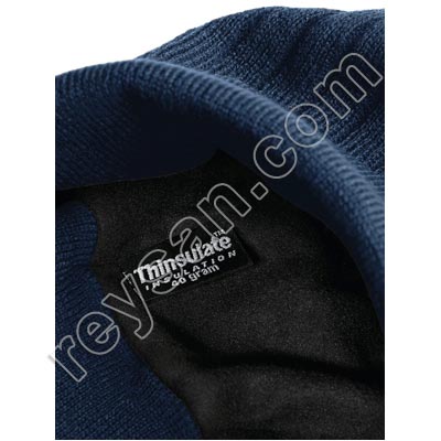 THINSULATE CAP