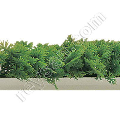 PARSLEY BAR 25CM 81954 12PC