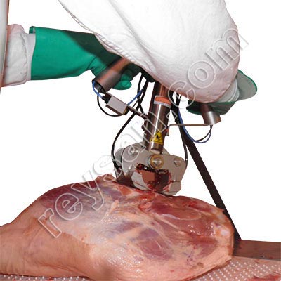 SHEAR CUTTING BRIDGE BONE