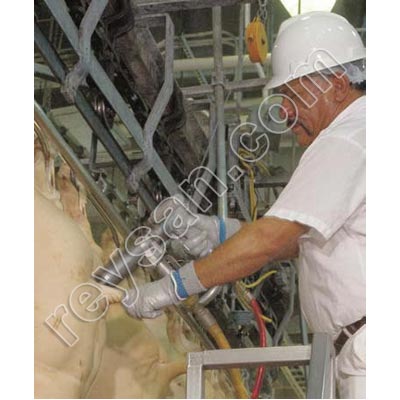 JARVIS HBD1 PUNCH GUN