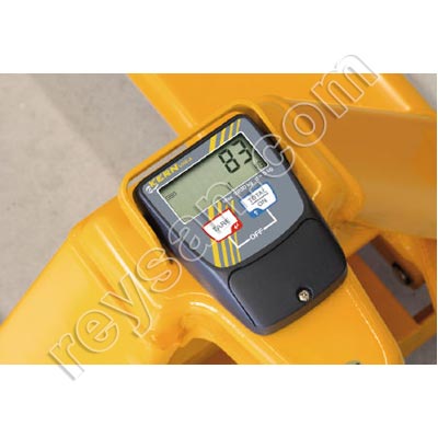 WEIGHING TRANSFER KERN VHE