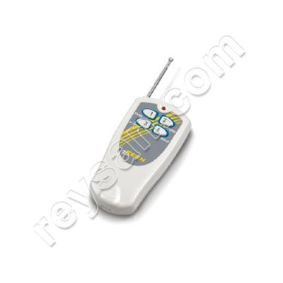 BALANCE KERN DE GRUA HFM