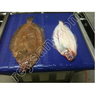 AUTOMATIC FISH SKINNER 460