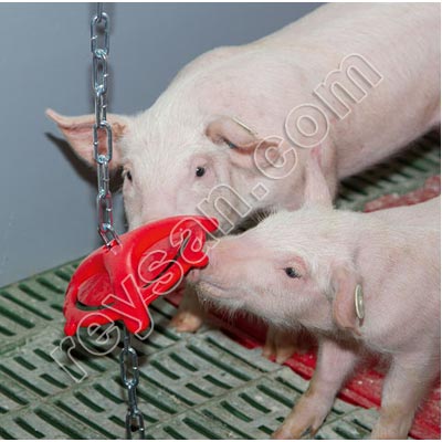 CHEWING TOY FOR PIGLETS PIGLETS