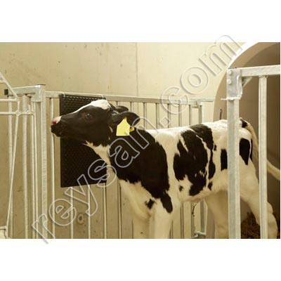 ANIMAL SCRAPER CARPET