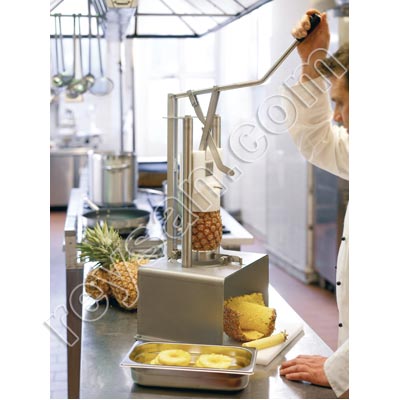 DISHEARTENING AND MANUAL PINEAPPLE PEELER