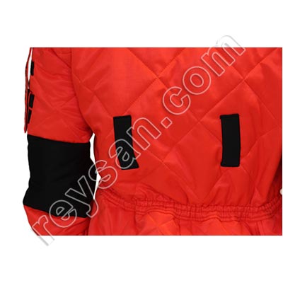 VELUTINA-ASIATIC WASP DIVER