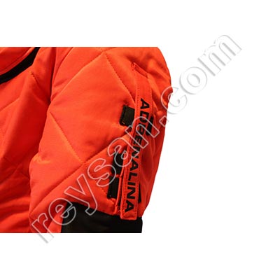 VELUTINA-ASIATIC WASP DIVER