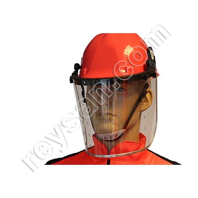 VELUTINA-ASIATIC WASP DIVER