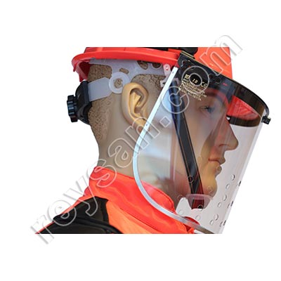 VELUTINA-ASIATIC WASP DIVER